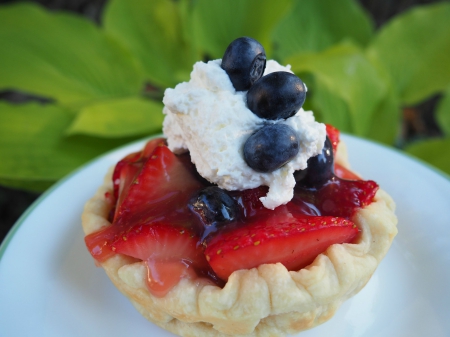 berry tart - fun, berry tart, food, yummy, entertainment, cool