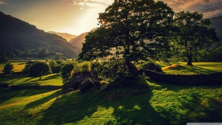 England landscape - sky, sunshine, sun, mountains, field, sunset, clouds, tree, grass, dusk, scene, england, landscape, sunlight, hills, shadows, light, park, summer, wallpaper, nature, hd, forest, dawn, sunrise