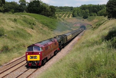 Train Ride - field, train, grass, trees