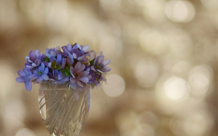 * Blue flowers * - nature, bouquet, flowers, flower