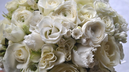 White Bouquet of Ranunculus - white, softness, pretty, ranunculus, flowers, bouquet