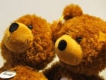 TWO TEDDIES