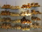 TEDDY BEAR COLLECTION