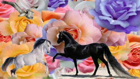 Horses - horses, beautiful, nobles, print