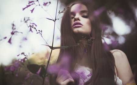 beauty in field - beauty, purple, girl, flower