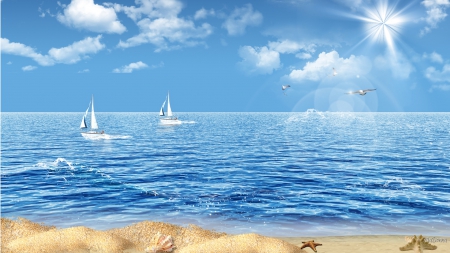 Beautiful Day To Sail - seashells, beach, sky, sunshine, sail, ocean, boats, sailboats, clouds, sea, birds