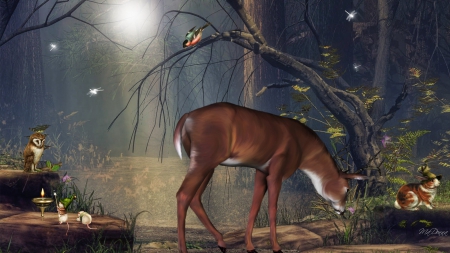 Lights in the Forest - birds, mystical, lamp, forest, light, magical, fairytale, mice, woods, story, moon, rabbit, candle, tree, owl, dragonflies, deer