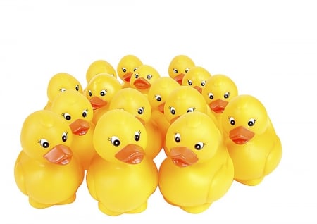 Bathing ducks - bath, fun, duck, toy