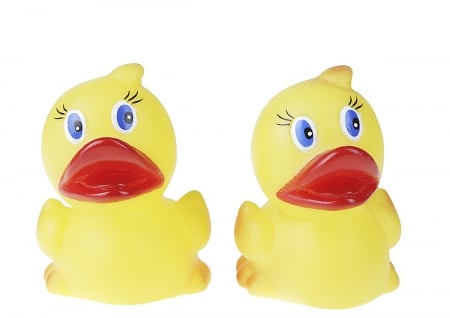 Bathing ducks 2 - fun, duck, bath, couple, toy