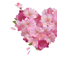 Blossom heart