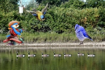 Bird Day at the park 2013-Brampton Ontario Canada