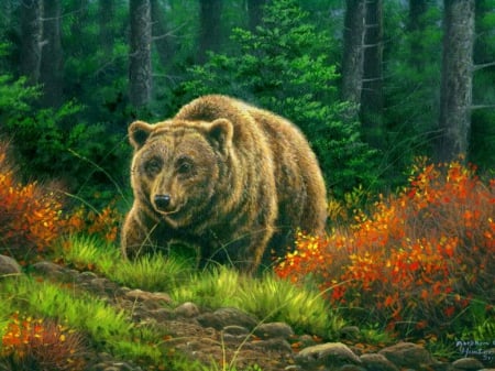 Grizzly bear - predator, mountain, trees, bear, summer, grizzly, path, paintning, nature, art, forest, wild, fear, grass