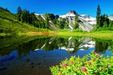 Mountain beauty - beauty, trees, greenery, clear, rocks, view, reflection, calmness, snowy, cliffs, lake, hills, mountain, summer, shore, lovely, peak, serenity, tranquility, nature, beautiful, wildflowers