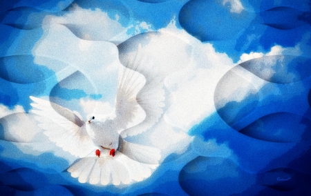 Abstract - sky, dove, wings, summer, bird, white, abstract, cloud, blue, by cehenot, texture