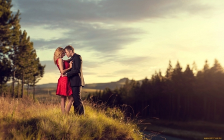 couple love - love, field, sunset, couple