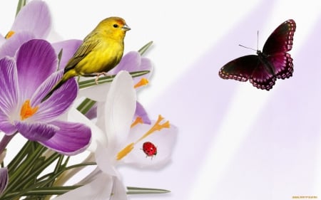 butterfly ab - flower, butterfly, sparrow, bird