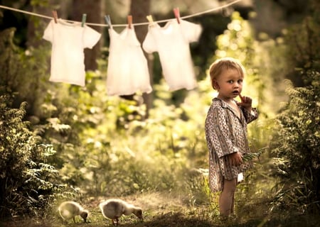 ♥ - bokeh, trees, kid, summer, splendor, summer time, grass, child, boy, nature