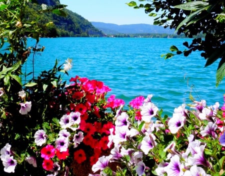 Spring Lake - France, beautiful, spring, pink, flowers, white, red, green, turquoise water, lake, mountains