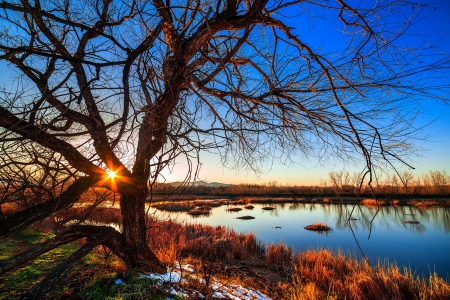 Lake Sunset - trees, hills, beautiful, blue sky, grass, sunset, autumn, lake, dusk