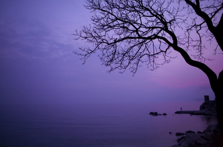 Over the Sea - purple, tree, sea, surreal