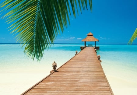 Way to the Sea - holidays, pier, tropical, palm, dreamy