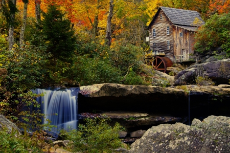 Old Watermill - trees, stream, waterfall, mill, serenity, foliage, forest, river, vreek, pond