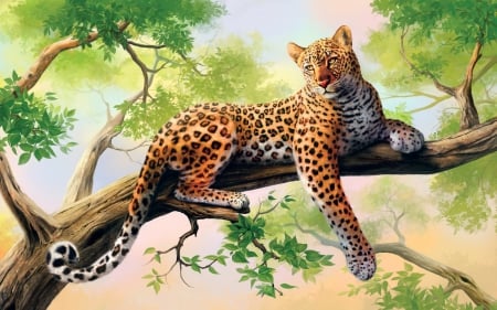 leopard