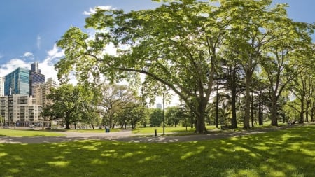 lovely city park on a sunny summer day hdr - summer, path, city, trees, park, hdr, sunshine, grass