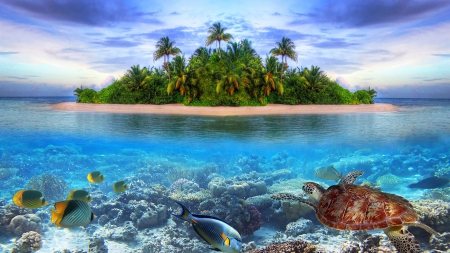 gorgeous tropical fantasy - fish, palms, island, tropical, sea