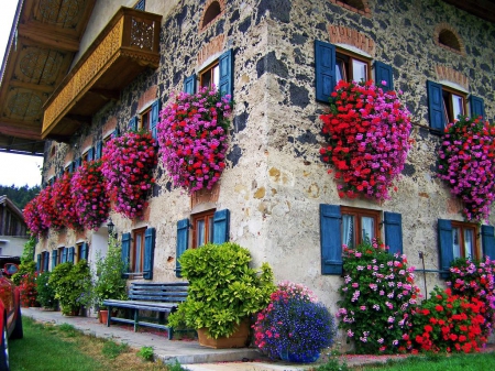 Summer Flowers - house, blossoms, bench, colors, walls