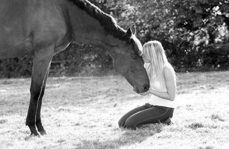 THE LADY AND HER HORSE - nature, kiss, Lady, love, Horse, animals