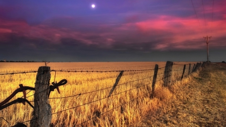 wheat fields under a moon at dusk - dusk, fence, moon, lines, fields