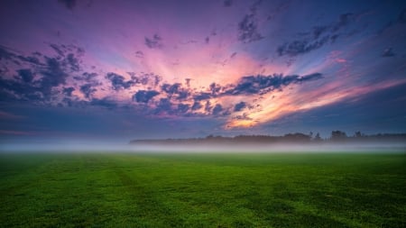 green fields under morning fog - morning, fields, clouds, fog, grass