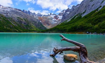 Emerald Lake - clouds, dead trunk, beautiful, snowy peaks, forest, Argentina, turquoise water, lake, mountains