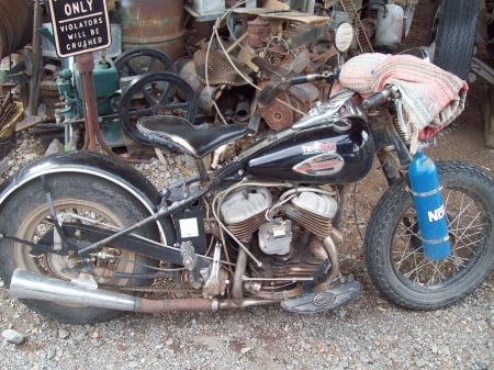 Ratty Flathead Hog - needs some work, flathead, hog, bike