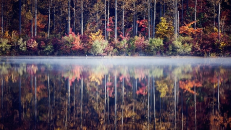 fog separating autumn forest reflection - lake, autumn, reflection, forest, fog