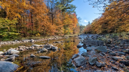 lovely rocky forest river in autumn - autumn, forest, rocks, river