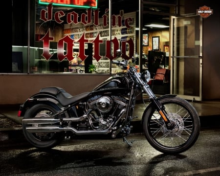 Harley Davidson - cycle, harley, motorcycle, bike