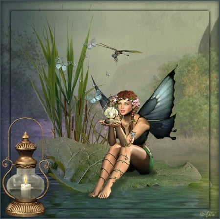 FAIRY LANTERN - LANTERN, WINGS, FAIRY, FEMALE, POND, BUTTERFLIES