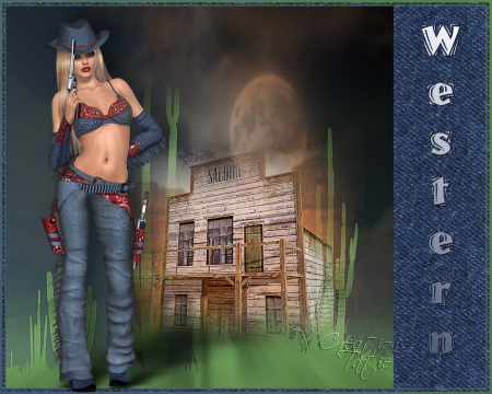 WESTERN - western, gun, moon, saloon, cow girl