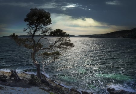 After Storm - clouds, sea, tree, sky