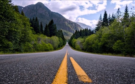 Gold River Highway, BC - nature, forests, canada, highway, mountains