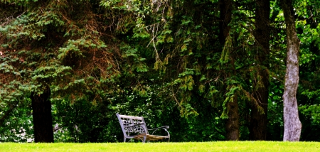 Relaxing Summer Day - peaceful summer, relaxing summer, tranquil summer, summer day, summer bench, relaxing summer day