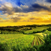 rural fields on kahlenberg hills in austria hdr