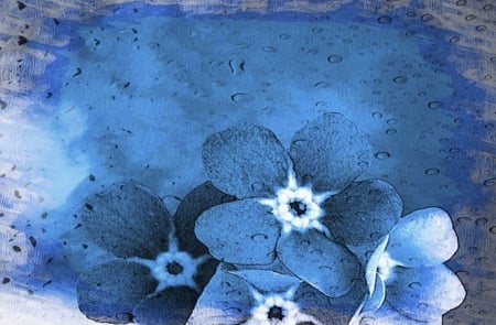 Blue - flowers, forget me not, blue, flower