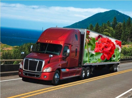 Coming to a city near you #2 - truck, nikon, flower, red