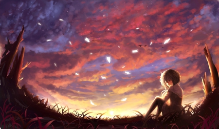 SunSet - pretty, anime, magic, female, scenery, evening, scene, grass, night, light, gloomy, emotional, dark, gloom, sad, hd, sit, sorrow, nice, sitting, sky, anime girl, beautiful, girl, feather, beauty, lovely, sweet, cg, sunset, cloud