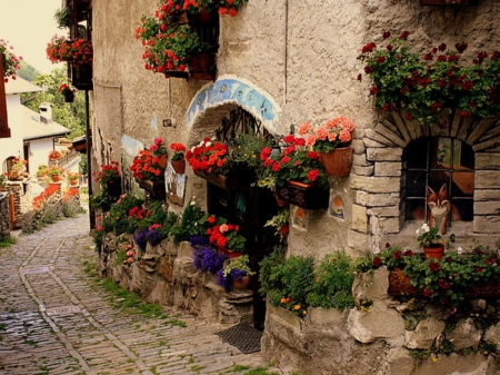 Lovely Road - cobblestone, blossoms, wall, flowers, house