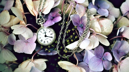 Still Life - flowers, pocket watch, purple, still life