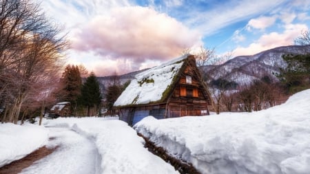 lovely rural winter cottages - mountains, winter, clouds, trees, cottages